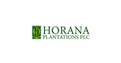 Horana plantation